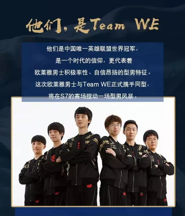 球队的整体 球队的整体