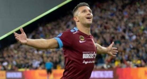 自然嵌入 自然嵌入