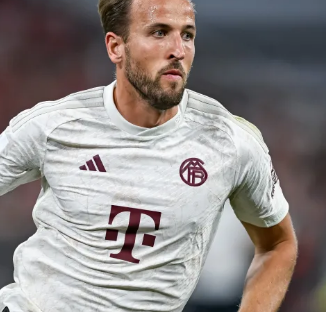 没人说话 没人说话